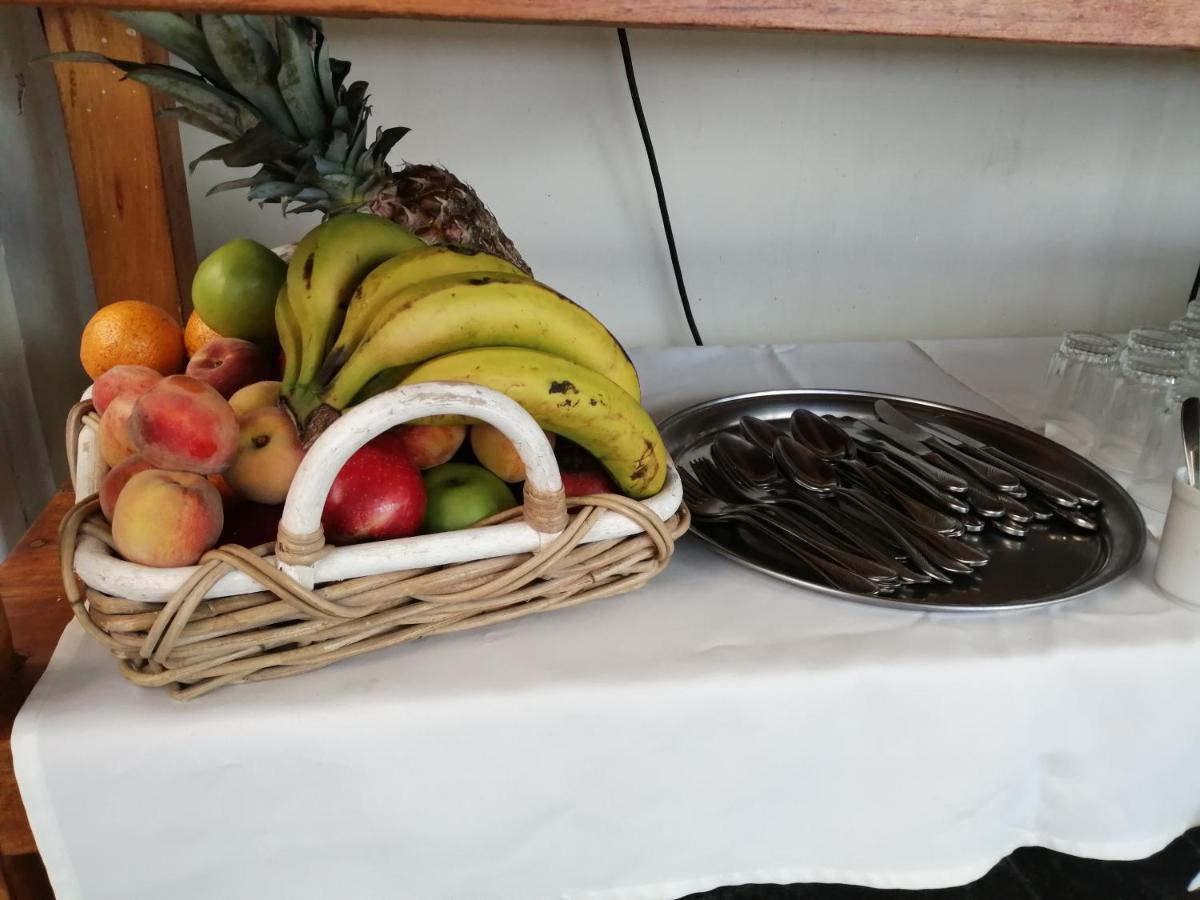 Casa Alevines Hostel & Suites Πούντα ντελ Έστε Εξωτερικό φωτογραφία